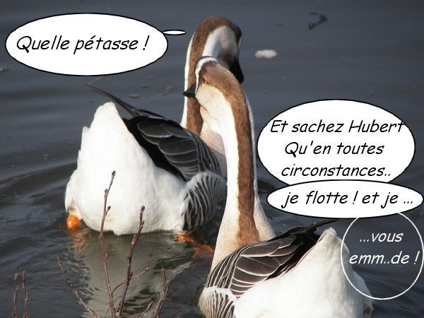 oie3
