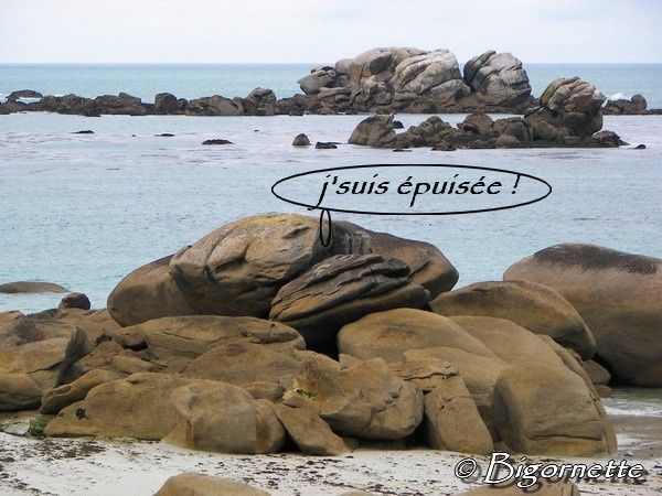 pause2.jpg