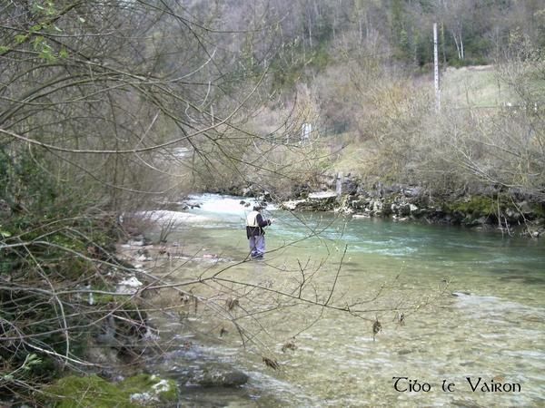 Copie--2--de-semine-25-03-2007-001.jpg