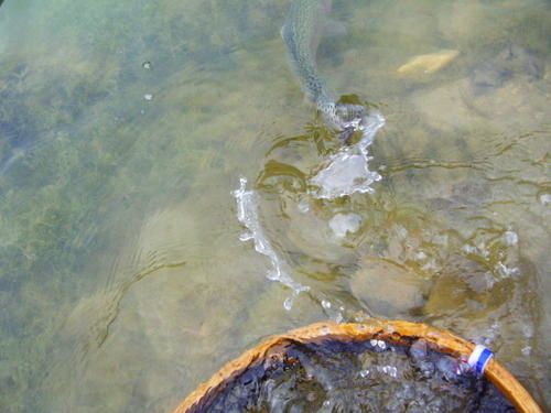 r--servoir-Chaley-011.jpg