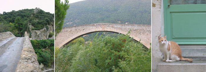 Pont
