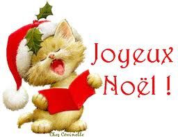 chat-noel-copie-1.jpg