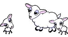mouton012.gif