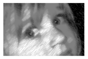 Image-1-copie-1.png