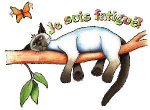chat-fatigu--.gif