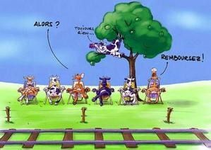 Vache-SNCF.jpg