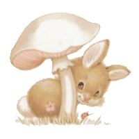 lapin-030.gif