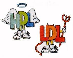 HDL-LDL.jpg