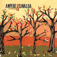 Split-Ampere---Sinaloa-2005.jpg