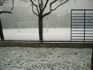Neige----P--kin.jpg