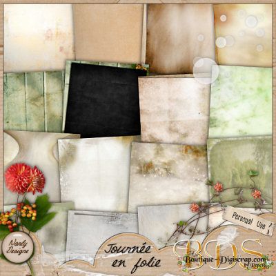 Nanly Designe Journee en Folie 001