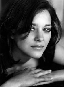 ScreenHunter-3.jpg