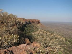 IMG-1382-copie-1.jpg