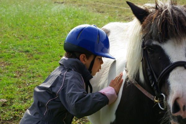 Tom et Fossette