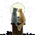 chatclairdelune.gif