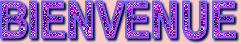 text.gif