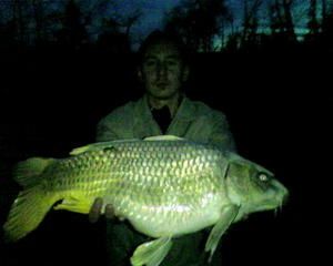koi-6kilos.jpg