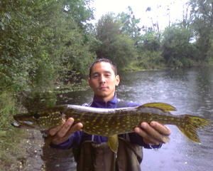 pike-dinger.jpg