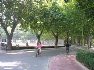 DSCN6076.JPG