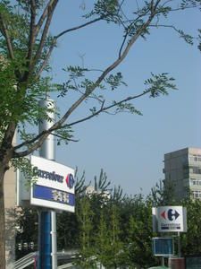 DSCN6096.JPG