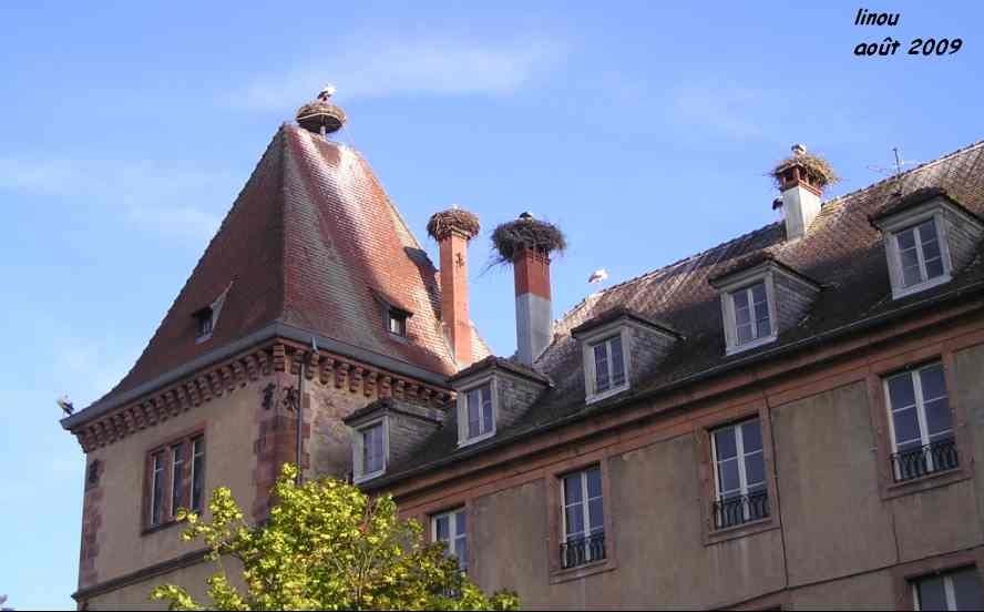Rencontres en alsace