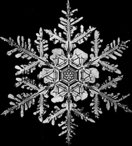 Cristal1.gif