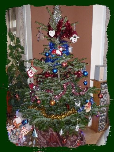 arbre.JPG