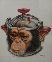 singecocotte.jpg