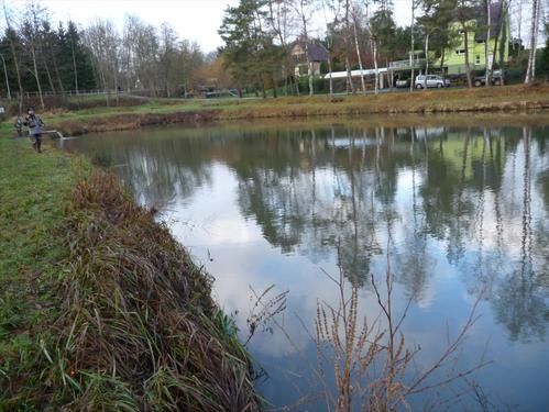 La pêche sur testo avec les aromatisants