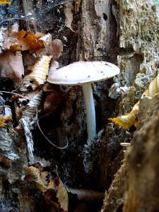DSC00322.jpg