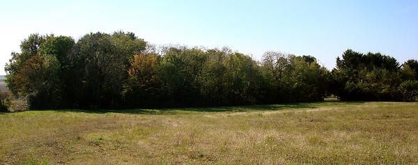 DSC00510.jpg