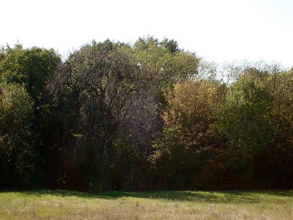 DSC00511.jpg