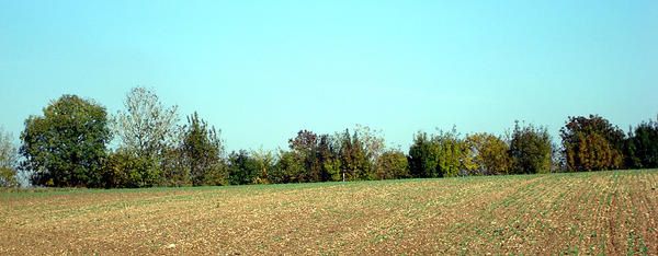 DSC00512.jpg