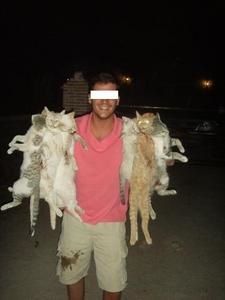 Gatos-jaime-ferrero-1-copie-1.jpg