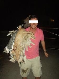 Gatos-jaime-ferrero-5.jpg
