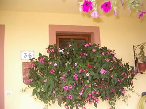 aout-2007-010.jpg