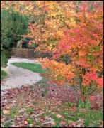 automne-chemins-chalons-en-champagne-france-1153814435-1081979.jpg