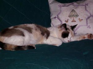decembre-2007-023.jpg