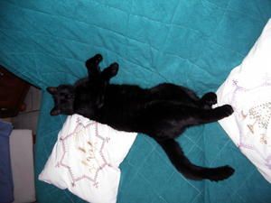 decembre-2007-026.jpg