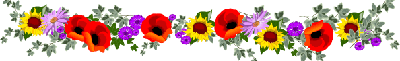 70-lineflowers