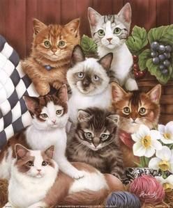 Kitties-II-Print-C10306025