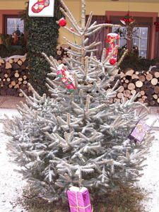 noel-2007-027.jpg