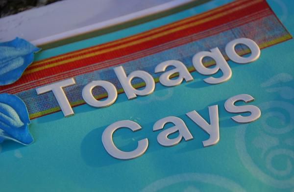 tobago-cays-detail1.jpg