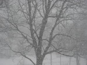 Img-0989.jpg