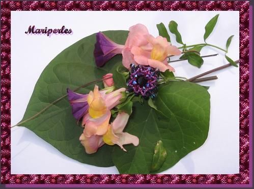 Ancolie-015.jpg