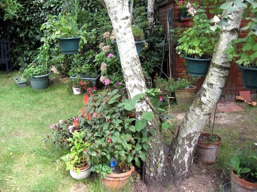jardin-002.jpg