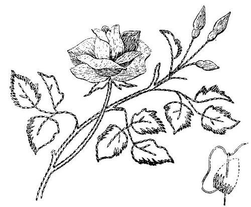 Rose01.jpg