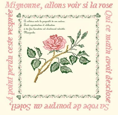 rose01tt.jpg