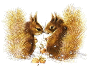--cureuils02.gif