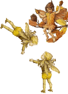 0006.gif